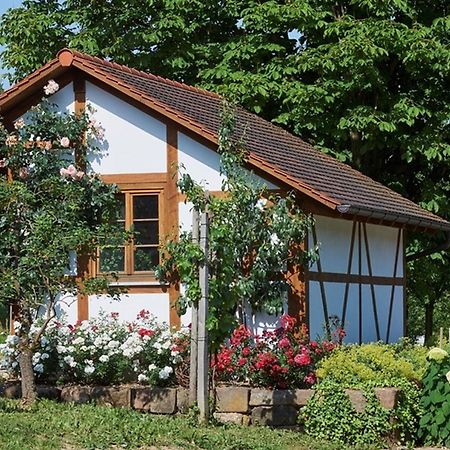 Апартаменты Winzerhof Woerner Дурбах Экстерьер фото