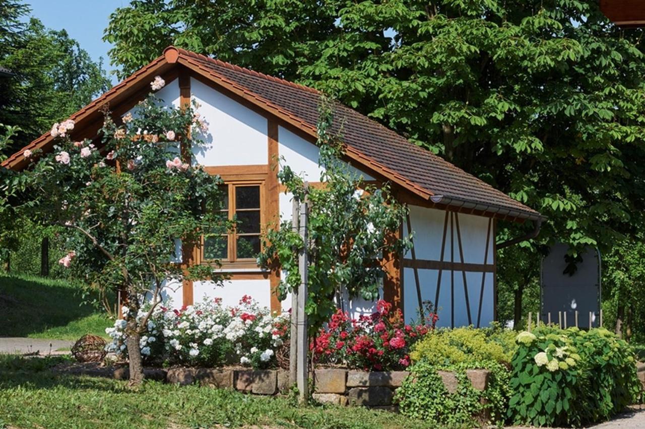 Апартаменты Winzerhof Woerner Дурбах Экстерьер фото
